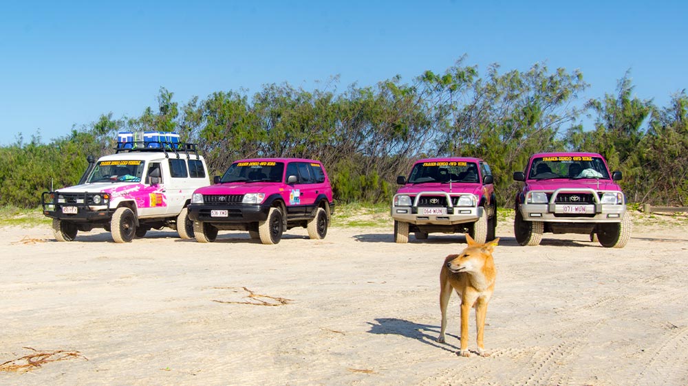 fraser island 4wd tag along tours